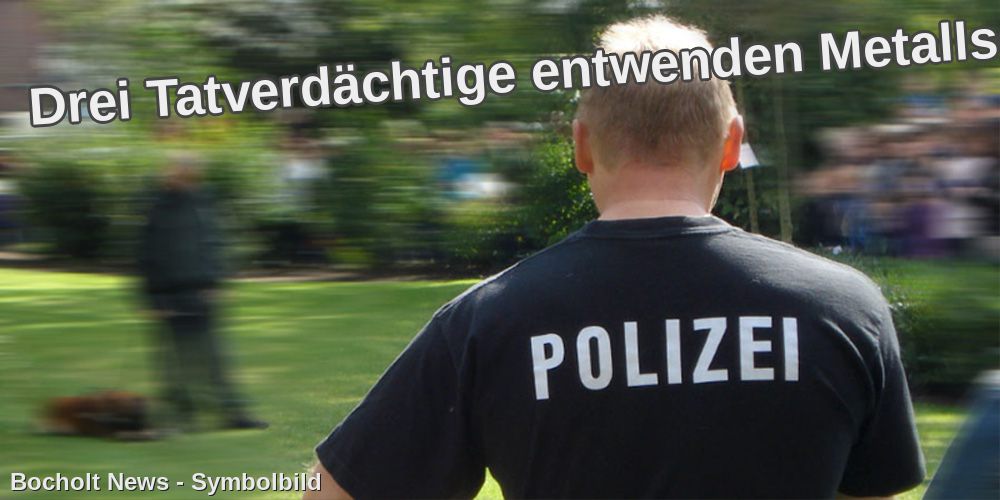 DREI TATVERDAECHTIGE ENTWENDEN METALLSCHROTT 25 01 2026