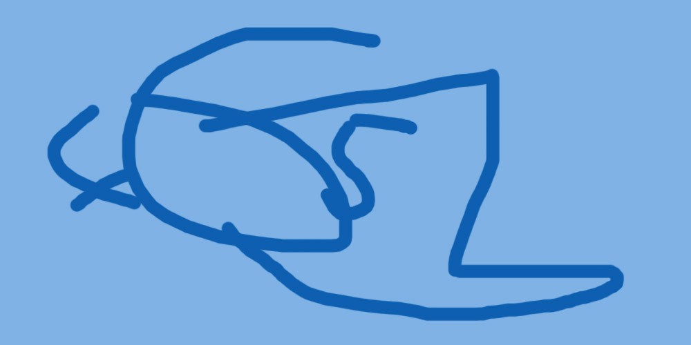 DUO DOG PFERDEFETT 1000 ML HUNDE NAHRUNGSERGAENZUNG HAUT ALLERGIEN DARM KNOCHEN